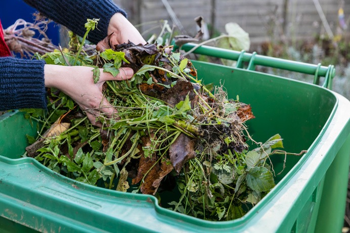 garden waste